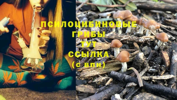 соль ск Балахна