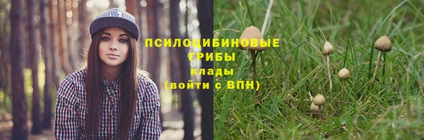 альфа пвп Баксан